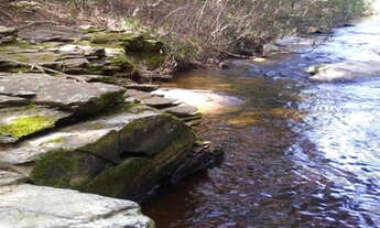 Imagem 7: Chácara de 57.000m² com nascente, rio de águas cristalinas /Jaboticatubas