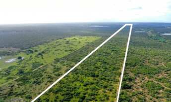 Imagem 4: Terreno à venda, 253700 m² por R$ 1.950.000,00 - Fazenda Bebelândia - Ceará-Mirim/RN