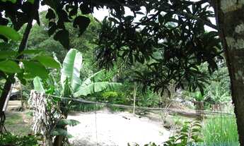 Imagem 6: AREA - LARANJA AZEDA - SP