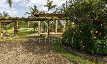 Imagem 7: Sítio - Centro - Tuiuti