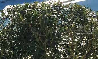 Imagem 3: Porto Alegre - Apartamento Padrão - Higienópolis