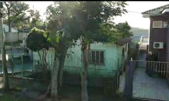 Imagem 4: Lote/terreno à venda em Montenegro