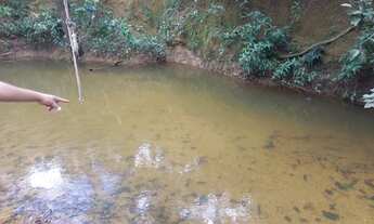 Imagem 2: Excelente oportunidade!! Vendo chácara de 2.2he escriturada e registrada no Bonsucesso