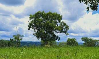 Imagem 4: Oportunidade. Terrenos de 20.000m² com Lagoa no Quintal por 40.475 + Parcelas