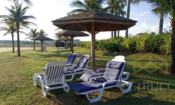 Imagem 3: Lote - Barreira - Arandu