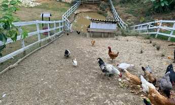 Imagem 2: Vendo lindo sítio em São José - SC