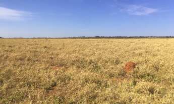 Imagem: Chácara lago oeste