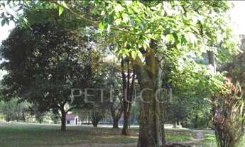 Imagem 3: área - Chácaras São Martinho - Campinas