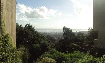 Imagem 5: Porto Alegre - Terreno Padrão - Teresópolis