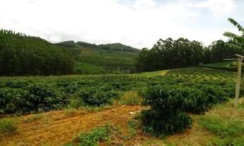 Imagem 3: Fazenda à venda 210M², ÁREA RURAL DE COLATINA, COLATINA - ES