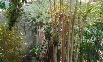 Imagem: Casa - Parque Franceschini - Sumaré