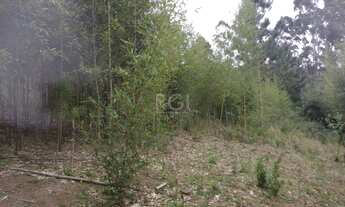 Imagem 7: Area em Belém Velho