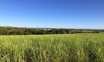 Imagem 5: Fazenda 96 Alqueires, Região de Botucatu-Sp
