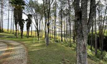 Imagem 4: Sítio - Champirra - Jundiaí