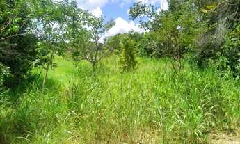 Imagem 6: Excelente oportunidade!! Vendo chácara de 2.2he escriturada e registrada no Bonsucesso