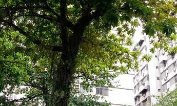 Imagem 3: ÓTIMO APARTMENTO EM REGIÃO NOBRE DO BAIRRO