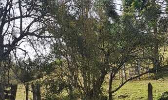 Imagem 6: Ótimo sitio Chácara com venda por R$3.200.000