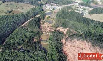 Imagem 3: LINDA CHÁCARA COLOMBO - IMBUIAL - 115.287,49M²