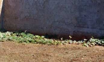 Imagem 3: Terreno de esquina em Martinopolis no O Pioneiro 2