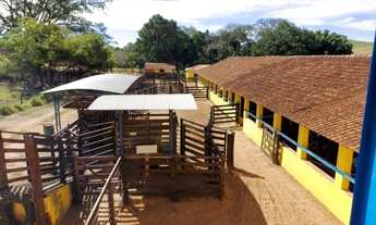Imagem: Fazenda em passos M.G 130 alqueires 20.000.000.00