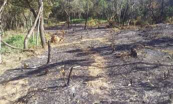 Imagem: Chacaras em local tranquilo