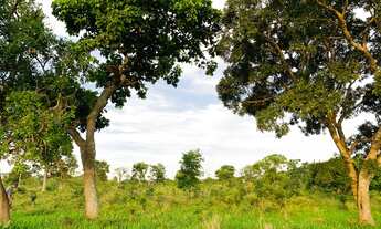 Imagem: Imóvel Rural a 5min do Wake SunSet, na