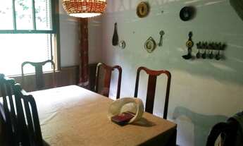 Imagem 7: Lindo sitio a menos de 20 km do centro de Santo Amaro com 2 nascentes de água pura