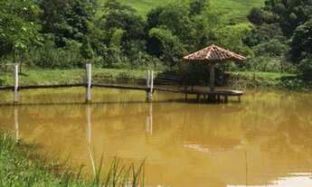 Imagem 7: Fazenda com 3 dormitórios à venda, 12 alqueires- Casimiro de Abreu/RJ