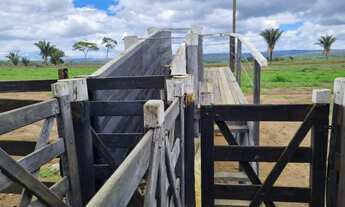 Imagem 4: Fazenda à venda 11 Quartos, 9 Suites, 1260M², Zona Rural, PEDRA AZUL - MG