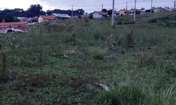 Imagem 6: Lote/terreno à venda em Lagoa Vermelha