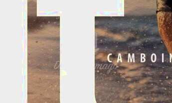 Imagem 4: IT Camboinhas, 4 quartos na praia, pé na areia - Oportunidade única !