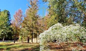 Imagem 2: Terreno - Ivoturucaia - Jundiaí