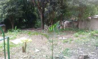 Imagem 4: Porto Alegre - Terreno Padrão - Teresópolis