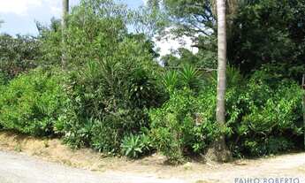 Imagem 4: AREA - LARANJA AZEDA - SP