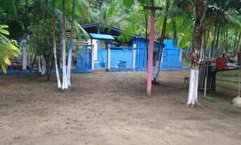 Imagem: Oportunidade!! Chácara frutífera produzindo