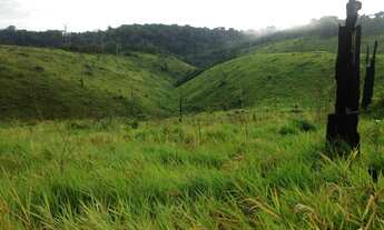 Imagem 6: Área de terra em Itaituba, PA