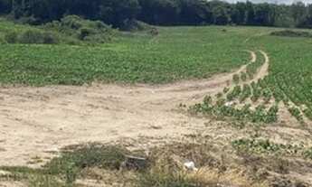 Imagem 3: Lote/terreno à venda em Encruzilhada Do Sul