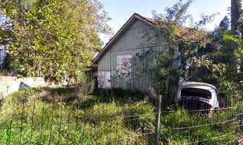 Imagem: Porto Alegre - Terreno Padrão - Jardim