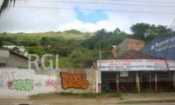 Imagem: Terreno em Agronomia
