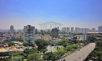 Imagem 3: São Bernardo do Campo - Apartamento Padrão - Centro