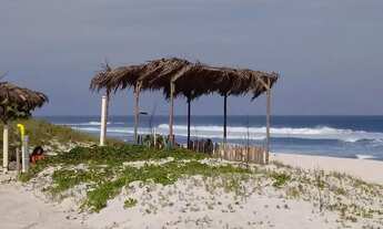 Imagem 7: Arraial do Cabo - Figueira