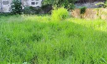 Imagem: Vendo terreno 12X30 Rua calçada à 50m