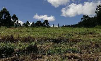 Imagem 6: LOTES NO INTERIOR DE SÃO PAULO - SUPER PROMOÇÃO - NÃO PERCA!