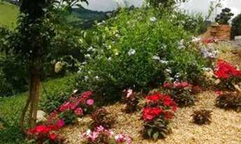 Imagem 4: Vendo Sítio/Chácara Baixei o valor somente este mês