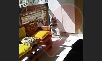 Imagem 6: Apartamento para venda possui 89 metros quadrados com 3 qts