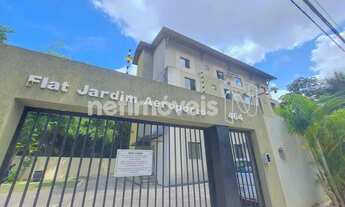 Imagem: Locação Apartamento 1 quarto Pitangueiras