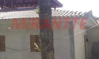 Imagem: Linda casa em Serra Da Cantareira