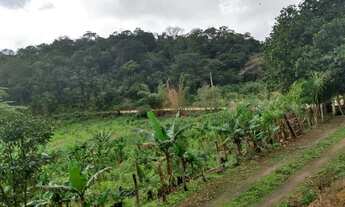 Imagem 6: Fazenda/Sítio/Chácara para venda com 21 Alqueires Ptª - Juquiá - SP