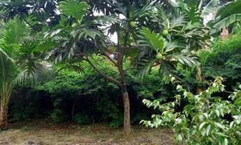 Imagem 14: Ótima chácara com 1.100m2