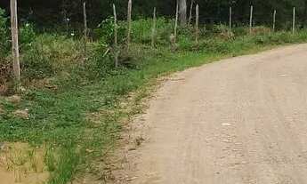 Imagem 4: Vendo maravilhoso sítio em Nazaré das farinha